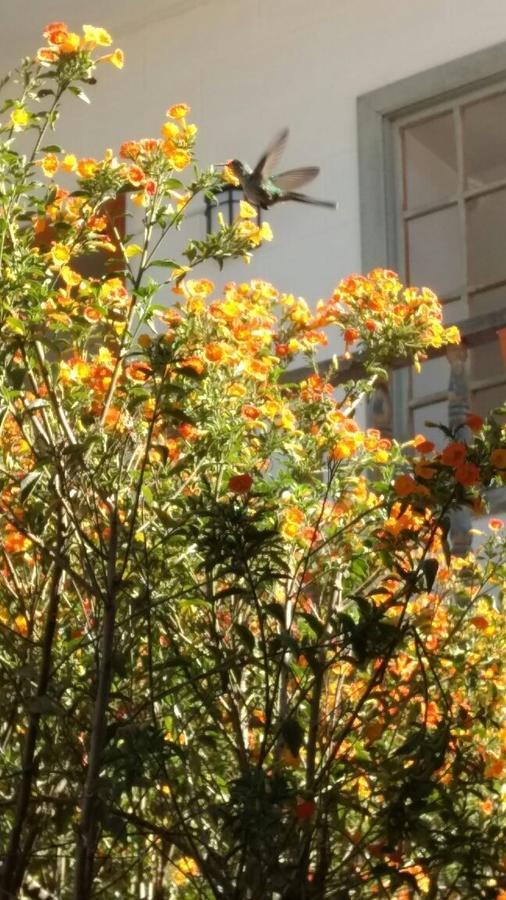 Hotel Manco Capac Jauja ภายนอก รูปภาพ